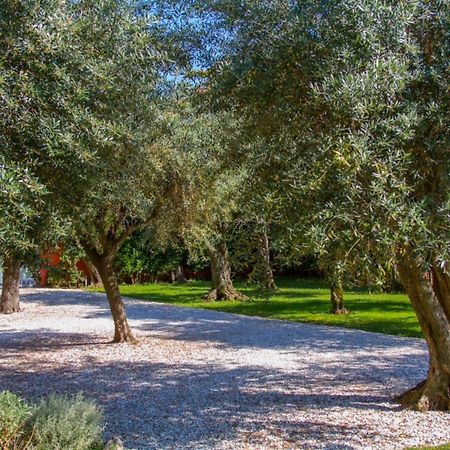 Suite Agave Seravezza Kültér fotó